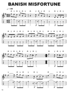 Irish Folk Music Fake Book