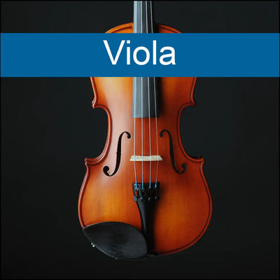 Viola-1.webp__PID:4858d040-a2ad-4484-a89b-312287a264f3