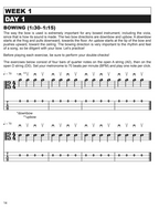 How to Play Viola in 14 Days