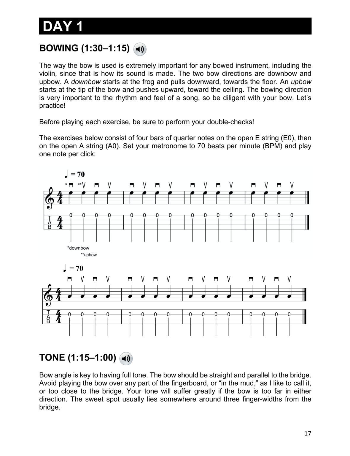 How to Play Violin in 14 Days: Daily Violin Lesson, Method for Absolute Beginners