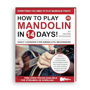 mandolin_guitar_3d_300.png__PID:639d8719-cd4d-4a09-8c7d-75b4882e022a